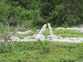 IMG_0021