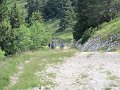 IMG_0022
