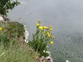 IMG_0036
