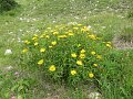 IMG_0039