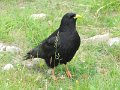 IMG_0041