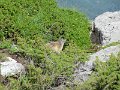 IMG_0047