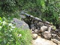 IMG_0053