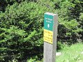 IMG_0055
