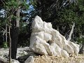 IMG_0008