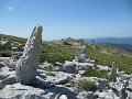 IMG_0044
