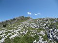 IMG_0045