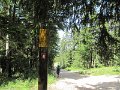 IMG_0059