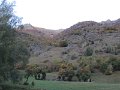 IMG_1095