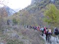 IMG_1099