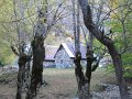 IMG_1101
