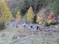 IMG_1106