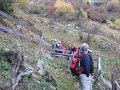 IMG_1110