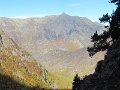 IMG_1118