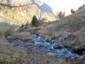 IMG_1122