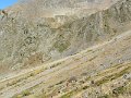 IMG_1144