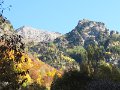 IMG_1146