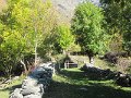 IMG_1149