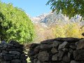 IMG_1151