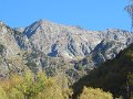 IMG_1153
