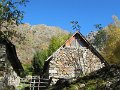 IMG_1154