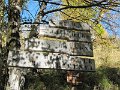 IMG_1155