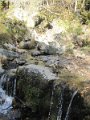 IMG_1156