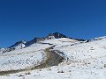 IMG_1303
