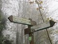 IMG_1370