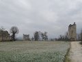 IMG_1441