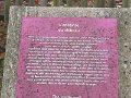 IMG_1456