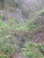 IMG_1478