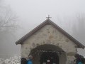 IMG_1517