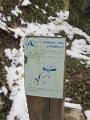 IMG_1523