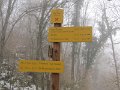 IMG_1525