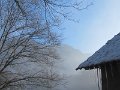 IMG_1528