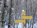 IMG_1530