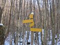 IMG_1532