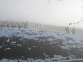 IMG_1539