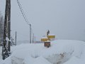 IMG_1716