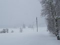 IMG_1718