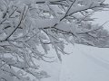 IMG_1720