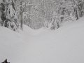 IMG_1727