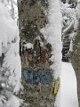 IMG_1739