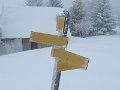 IMG_1741