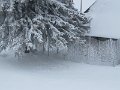 IMG_1742