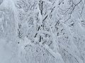 IMG_1746