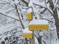 IMG_1747