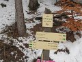 IMG_1765