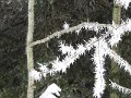 IMG_1778